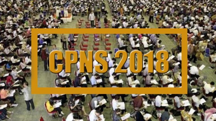 sscn-bkn-update-46-instansi-umumkan-seleksi-berkas-cpns-2018-di-link-kemenkeu-kemenkes-kemenpan_20181022_104215.jpg