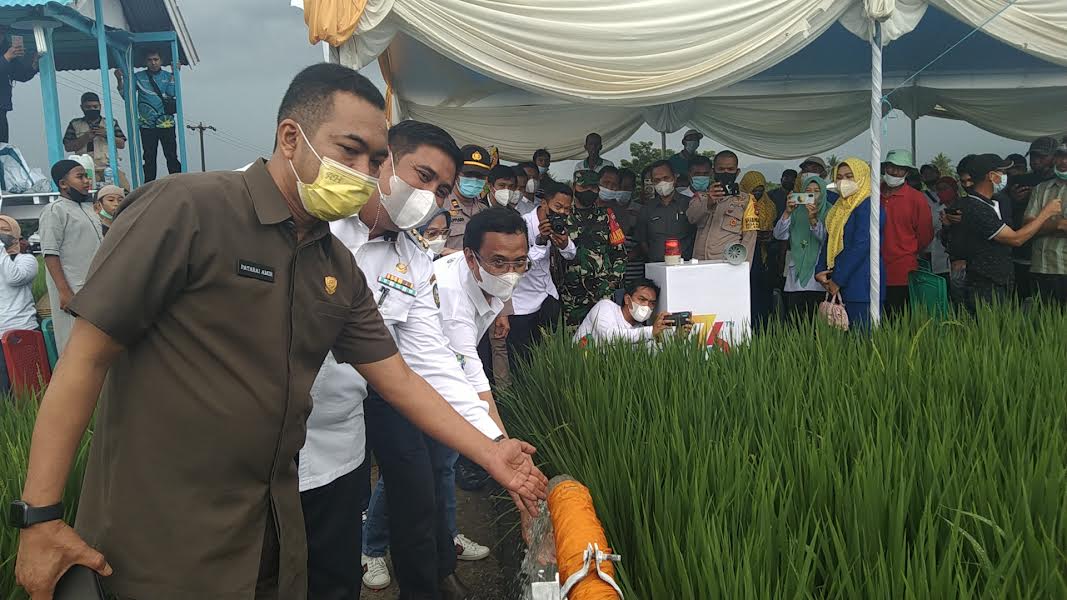 suasana-peluncuran-electrifying-agriculture-atau-sambungan-listrik-baru.jpg
