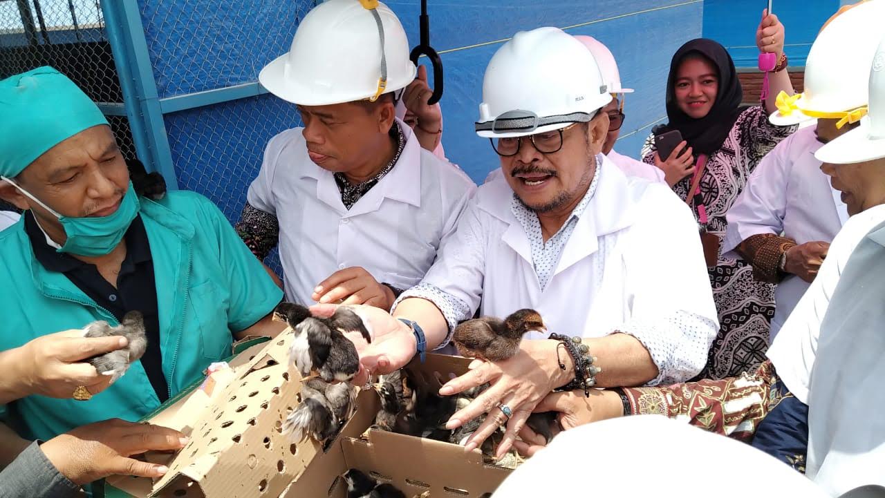 syahrul-yasin-limpo-dan-peternakan-ayam-kampung-unismuh.jpg