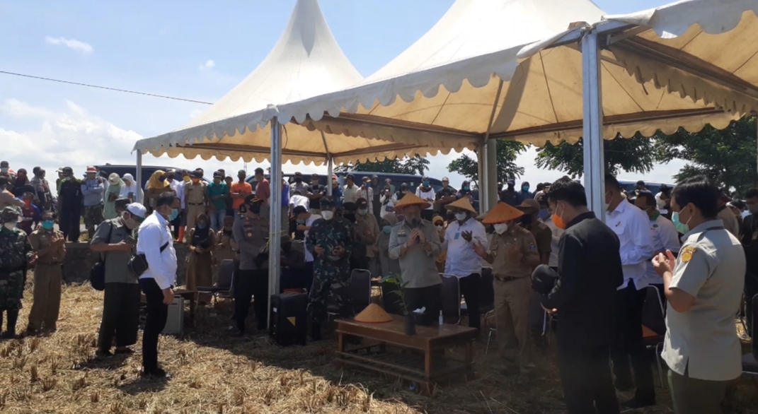 syahrul-yasin-limpo-syl-menghadiri-acara-panen-raya-di-kampung-palippiri.jpg