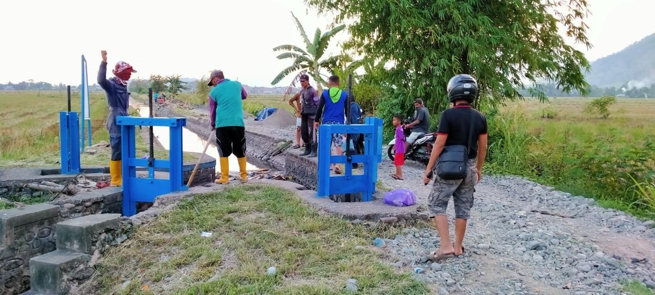 tempat-penemuan-mayat-bayi-di-saluran-irigasi.jpg