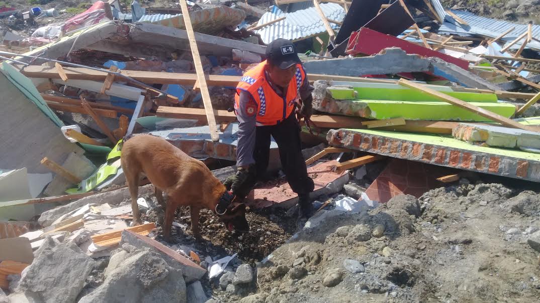 tim-sar-k-9-dari-baharkam-polri-melakukan-pencarian-korban-gempa_20181004_103025.jpg