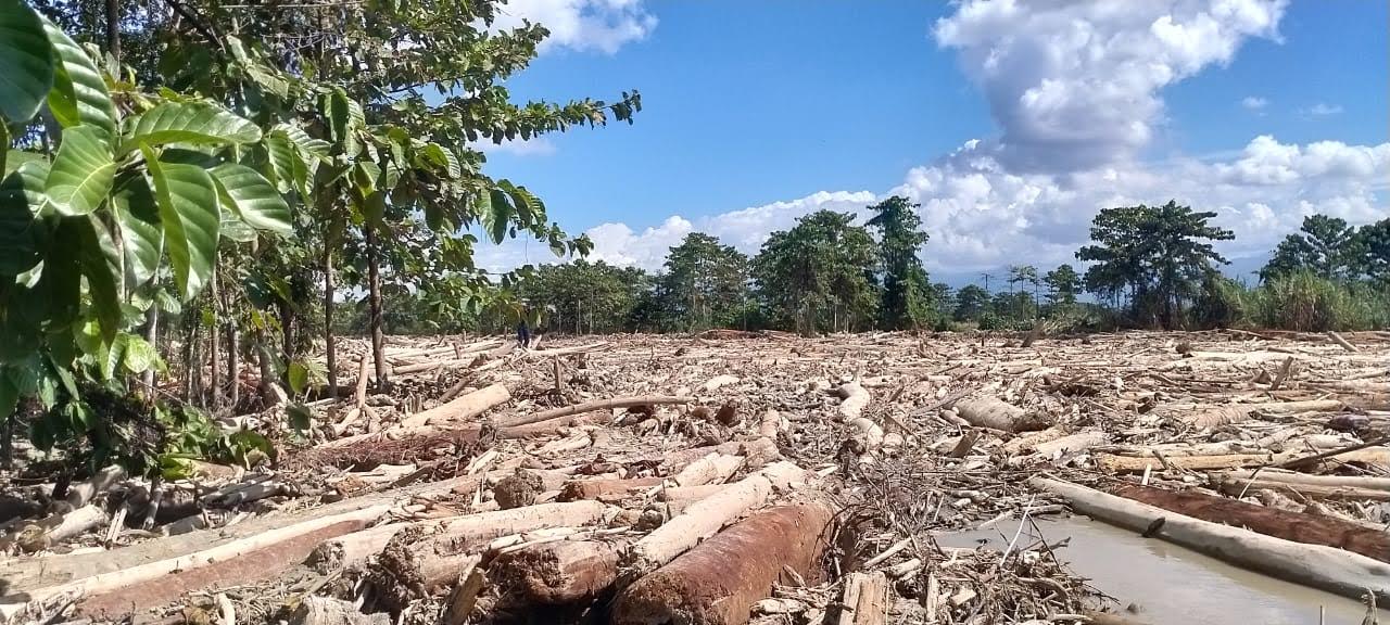 tumpukan-kayu-pasca-banjir-bandang-di-hilir-sungai-rongkong-luwu-utara.jpg