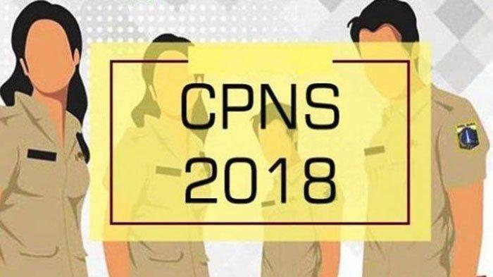 UPDATE CPNS 2018 - Link Hasil SKD & Peserta Ikut SKB Sulsel, DIY, Kaltara, 108 Instansi/ Pemda, Cek!