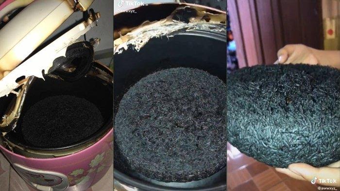 VIDEO Viral Cerita Warganet ini Masak Nasi di Rice Cooker hingga Gosong Semua, Begini Kronologinya
