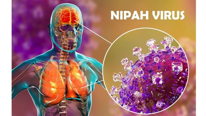 virus-nipah-1-2812021.jpg