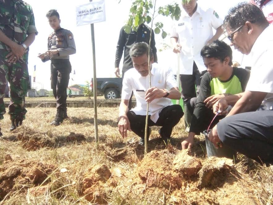 wakil-bupati-luwu-utara-muh-thahar-rum-menanam-pohon-di-taman-arjuna_20180221_132626.jpg