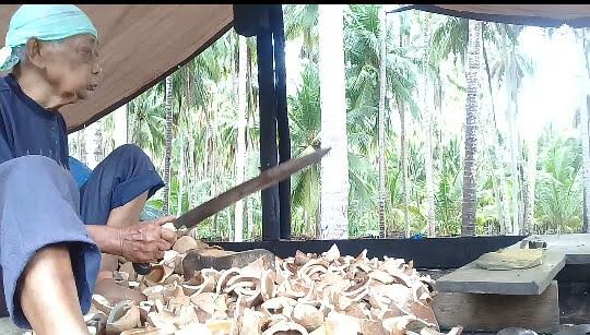 Harga Kopra di Desa Barugaiya Selayar Turun Rp 2.700 Per kilo