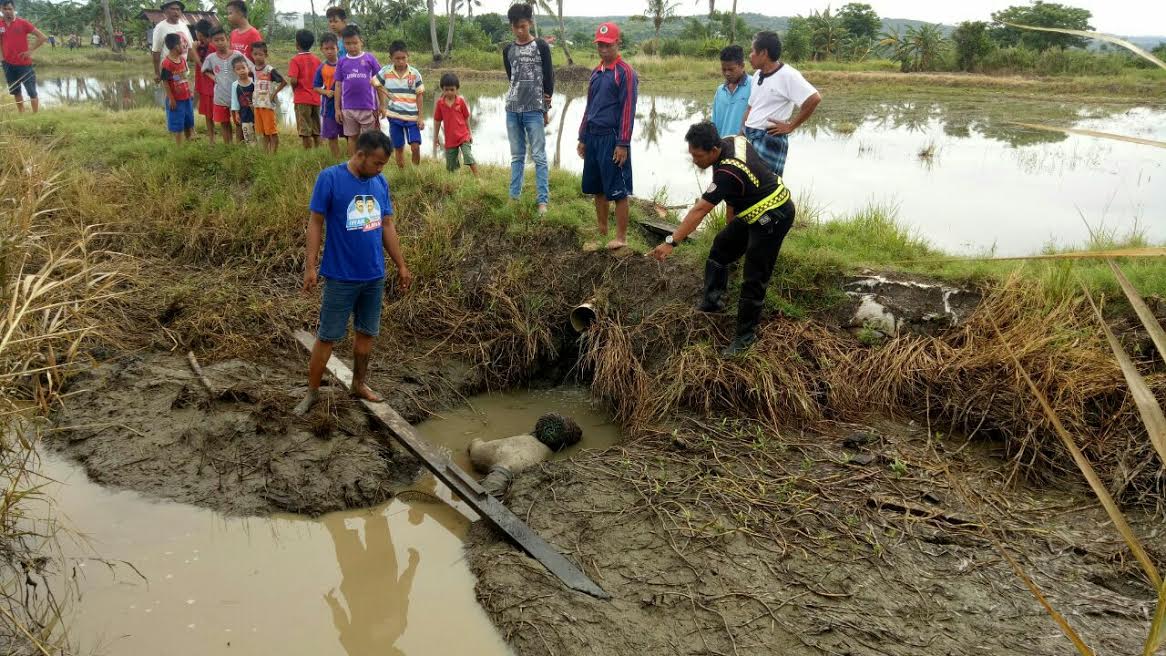 Mayat Warga Dusun Majjakka Pinrang Ditemukan Tergeletak di Pembuangan Sawah