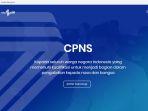 10-daftar-formasi-cpns-2019-masih-kosong-pendaftar-cek-sscnbkngoid-besar-kesempatan-lolos.jpg