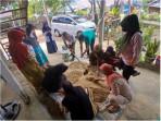KWT di Barru Diajari Formulasi Pakan Itik dari Limbah Ikan
