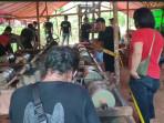 20251004-Tambang-Emas-Gowa.jpg