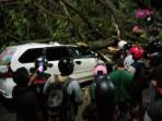 20251027_LALU-LINTAS-LUMPUH_lalu-lintas-Urip-sumoharjo-terhambat-karena-pohon-jatuh.jpg