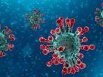 5-fakta-hoaks-pencegahan-virus-corona-mulai-rebusan-bawang-putih-air-hangat-hingga-jemur-pakaian.jpg