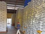 Bulog Pinrang Sudah Serap 57 Ribu Ton Beras dan Gabah dari Petani Lokal