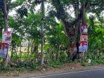 APK-terpasang-di-pohon.jpg