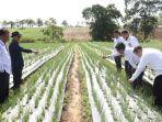 BPVP-Pangkep-jajaki-kerjasama-dengan-Pemkab-Enrekang.jpg