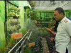 Budidaya-sayuran-di-Longwis-Silves-Kelurahan-Ballaparang-gunakan-smart-irigasi-32421.jpg