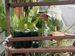 Penjual Pertalite Eceran di Pinrang Rencana Jual Rp13 Ribu Perbotol