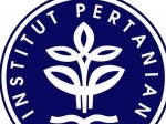 IPB.jpg