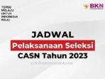 Jadwal-Terbaru-CPNS-2023-Jangan-Sampai-Telat-Daftar.jpg
