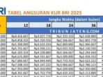 KUR-BRI-Tabel-angsuran-KUR-BRI-Bank-BRI-kembal.jpg