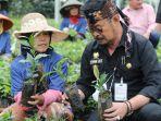 Kementan-tekankan-penggunaan-bahan-organik.jpg