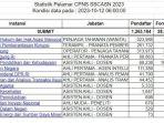Klik-Link-sidstatistikpelamar-Cara-Lihat-Statistik-Pelamar-CPNS-2023-dan-PPPK-2023.jpg