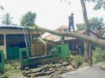 Kondisi-gedung-bank-sampah-DLHK-Sinjai-rusak-akibat-tertimpa-pohon-tumbang.jpg