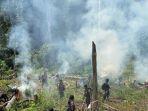 LADANG-GANJA-Dittipid-Narkoba-Bareskrim-Polri-berhasil.jpg