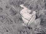 BREAKING NEWS: Mayat Laki-Laki Ditemukan Tergeletak di Sawah Jonggoa Jeneponto