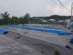 Tengkulak Rugikan Petani di Bulukumba, Jual Gabah ke Mitra Bulog dengan Harga Lebih Tinggi