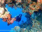 Pulau Welora, Surga Tersembunyi di Ujung Maluku Barat Daya