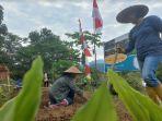Petani-menanam-sayur-di-Kecamatan-Wasuponda-Luwu-Timur.jpg