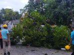 Petugas-bersihkan-pohon-tumbang-di-Jl-Baso-Kalaka-Sinjai-Utara-Kamis-412024.jpg