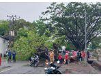 Pohon-tumbang-di-l-Pahlawan-Kecamatan-Binamu.jpg
