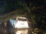 Pohon-tumbang-menimpa-mobil-Avanza-di-Jl-Ratulangi-Palopo-jjj.jpg