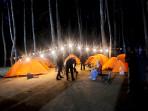 Hutan Pinus Bulu Tanah Bone Tawarkan Wisata Alam Murah Meriah, Tiket Masuk Rp5 Ribu