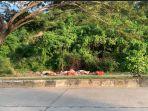SAMPAH-JALAN-Potret-tumpukan-sampah-di-Jalur-Dua-Sengkang.jpg