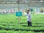 SYL-saat-kunjungan-kerja-ke-Balai-Penelitian-Tanaman-Industri-Balitri-di-Sukabumi.jpg