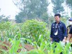 Syahrul-Yasin-Limpo-1-942022.jpg