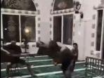 Viral Pemuda di Pinrang Baku Tinju dan Main Gitar Dalam Masjid