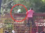 Viral Video Bupati Sidrap Syaharuddin Alrif Tertimpa Ranting Pohon saat Kerja Bakti di Taman Kota