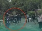Viral 2 Kelompok Remaja di Pinrang Sulsel Tawuran, Dipicu Saling Tatap di Acara Pernikahan