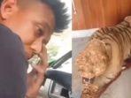 Viral-Prajurit-TNI-kulit-harimau-milik-komandannya-sendiri.jpg