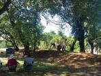 agribisnis-pangkep_20160327_145615.jpg