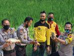 akbp-yudha-wirajati-kusuma-terlihat-bahagia-bersama-anggotanya-saat-panen-ikan.jpg