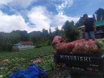 aktivitas-pedagang-ketika-kembali-kol-langsung-di-petani-di-desa-bonto-lonjong-12.jpg