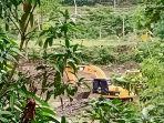aktivitas-tambang-ilegal-di-sungai-sewo-kelurahan-bila.jpg