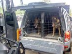 anjing-k9_20171209_120425.jpg